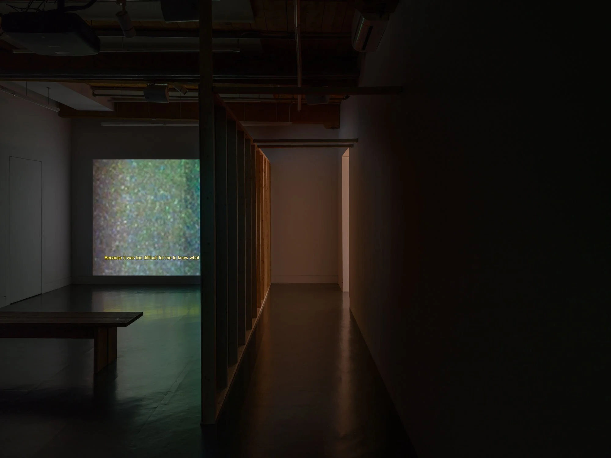 Images-Sophie Sabet-016.jpeg