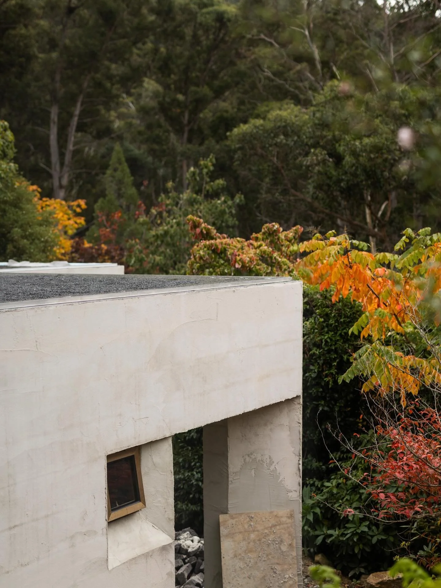 Construction progress at Jubilee Gardens house and studio, in the foothills of Kunanyi. 

This is a personal project of CCA Director, Ryan and his partner Minky, who fell in love with the horticultural paradise, Jubilee Gardens, which was a private n