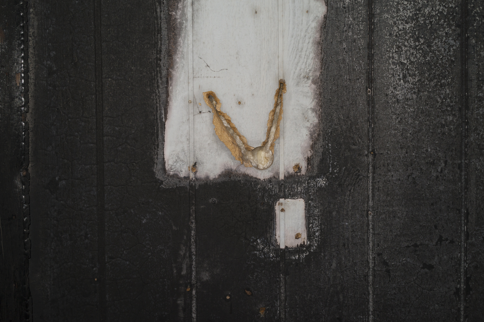 DSC01211.jpg