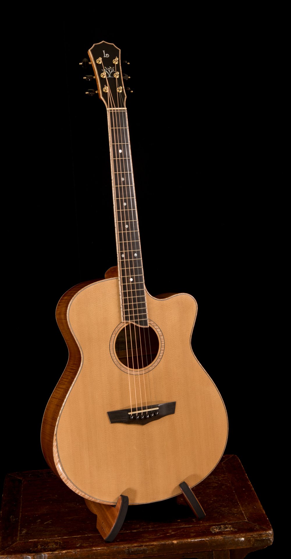 Lichty-Guitar-LFAC-G139-17.jpg