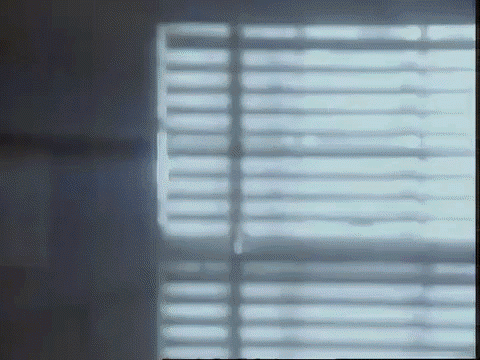 751.gif