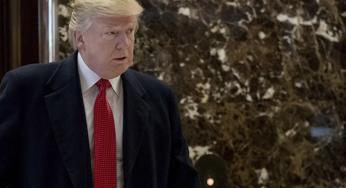  Will Trump Cut the Red Tape? 