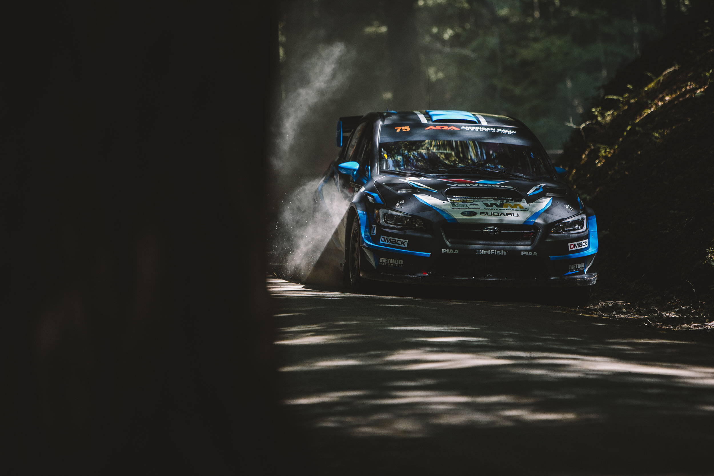 The Susquehannock Trail