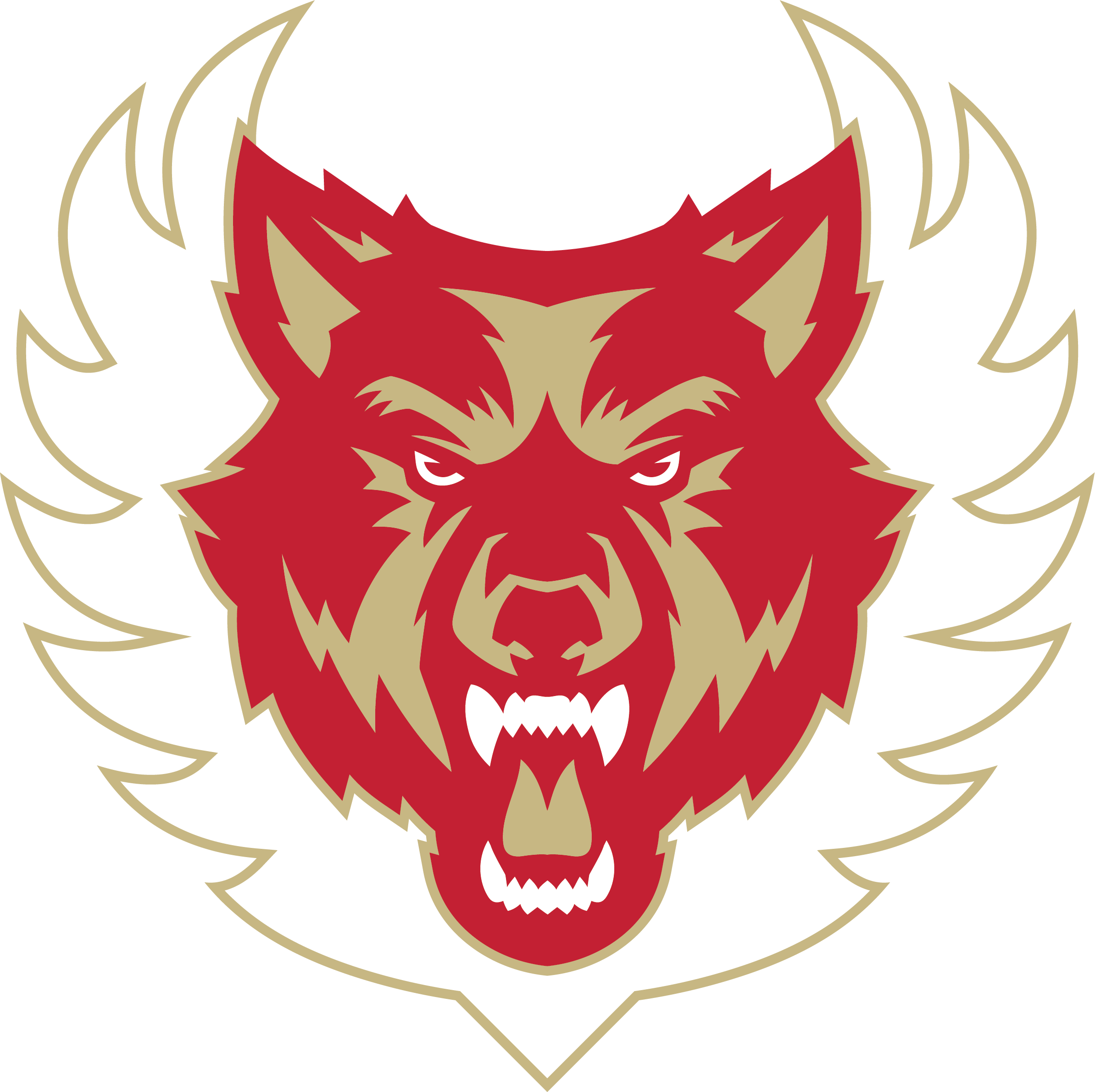 Wolf Nation LOGO 2021.png