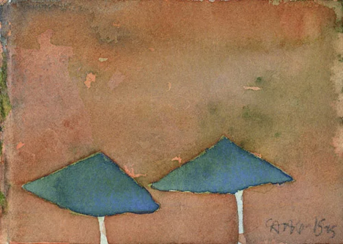 Aspen Umbrellas