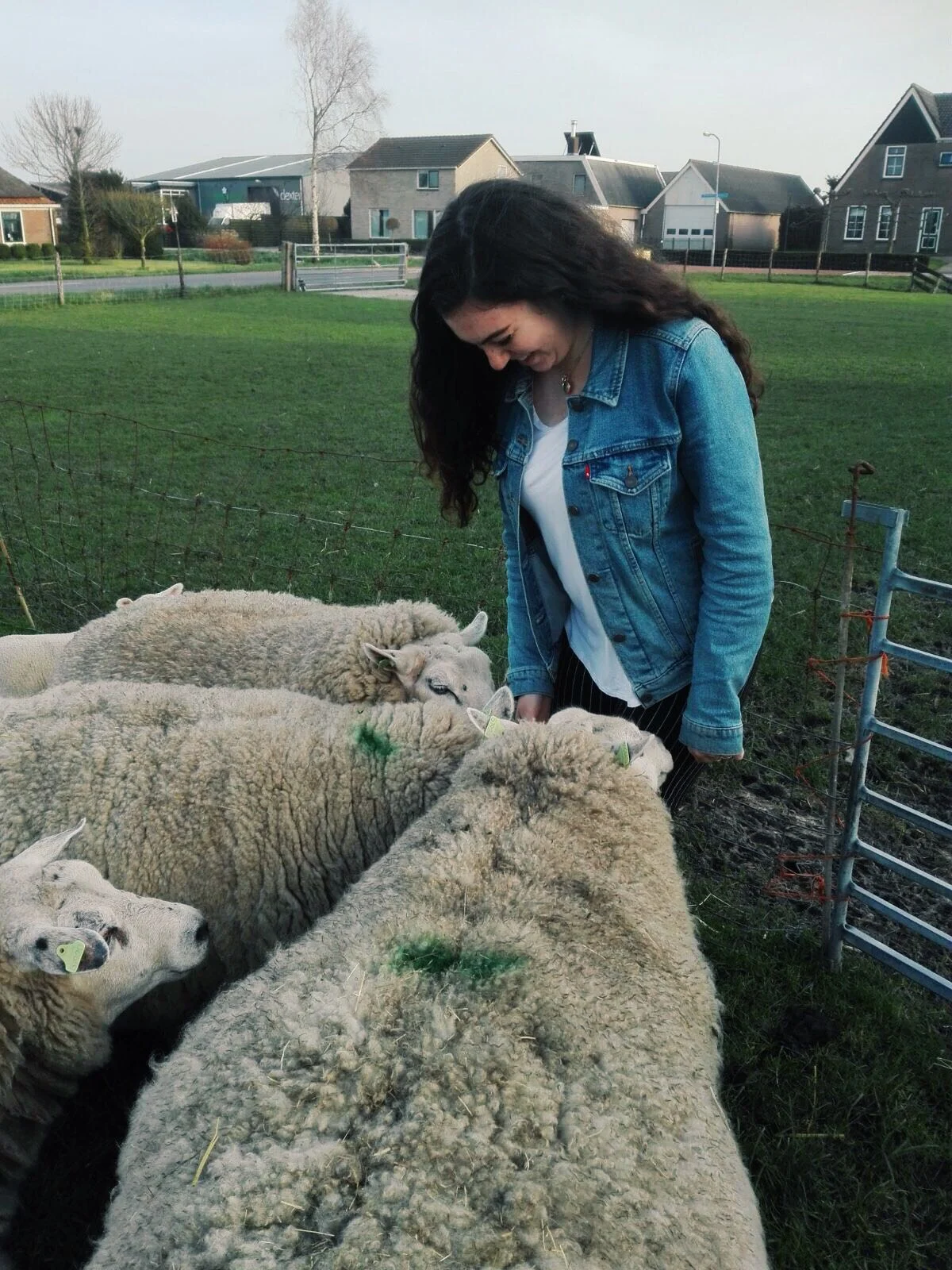 me and some wooly friends!