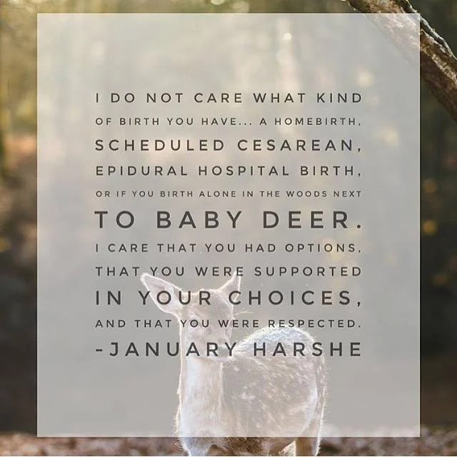 JanuaryHarsheIDontCare.jpg
