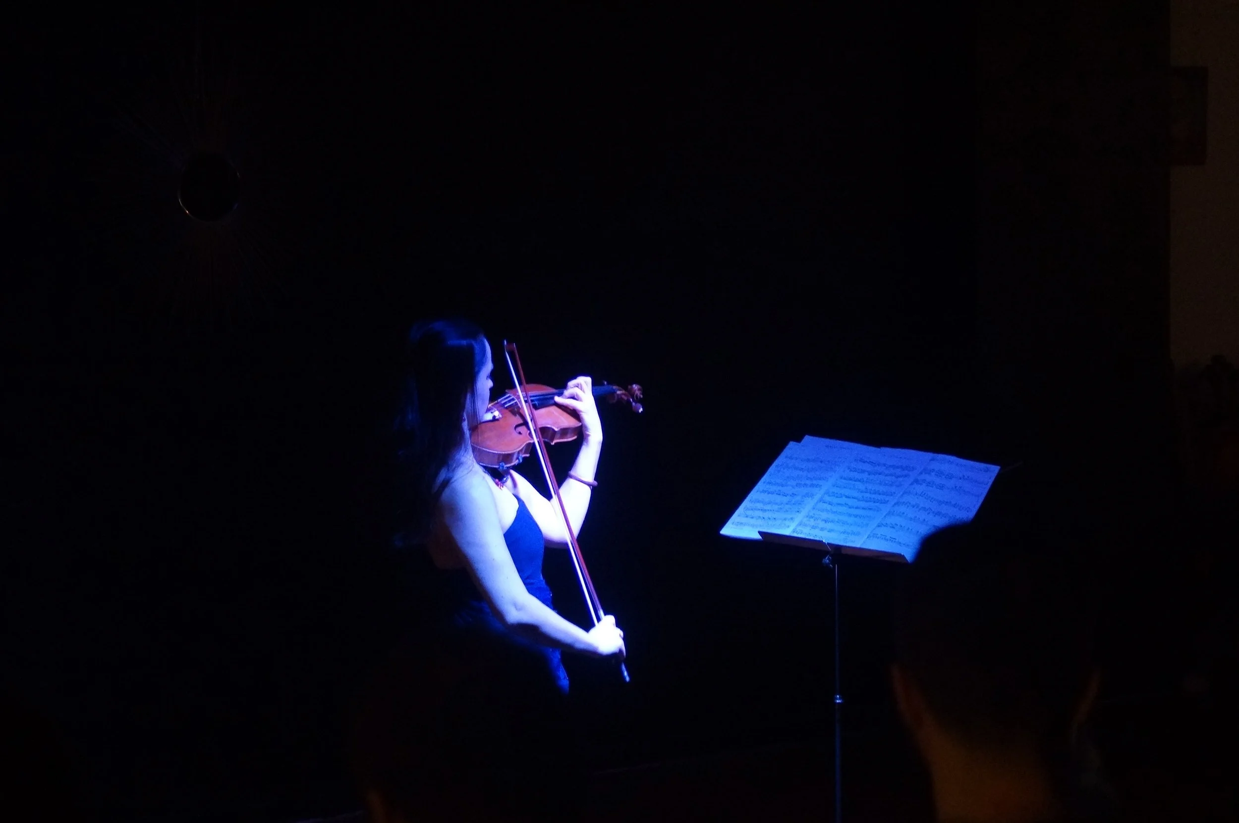 Violin Recital with Piano