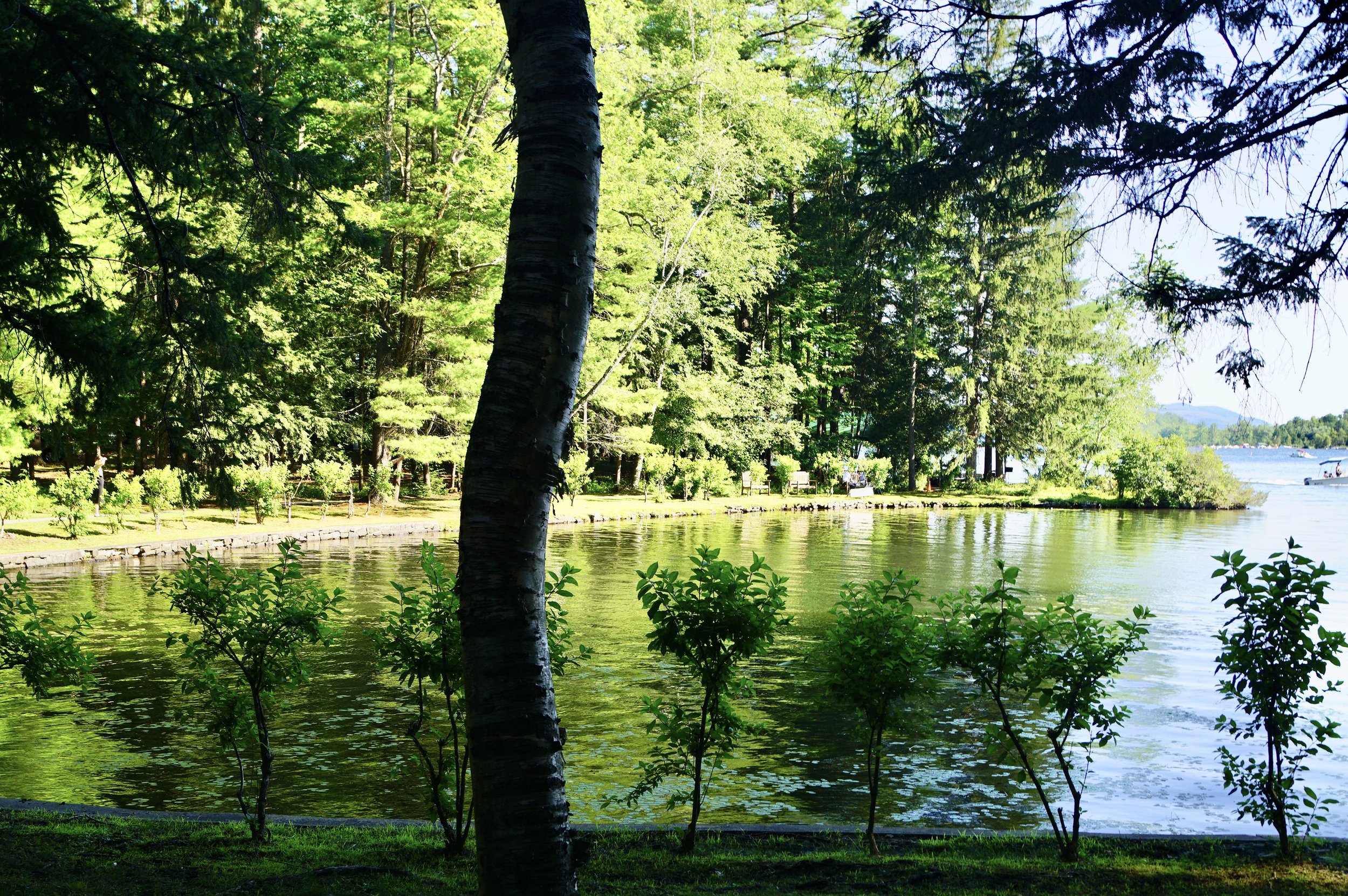 Violin Recital with Piano