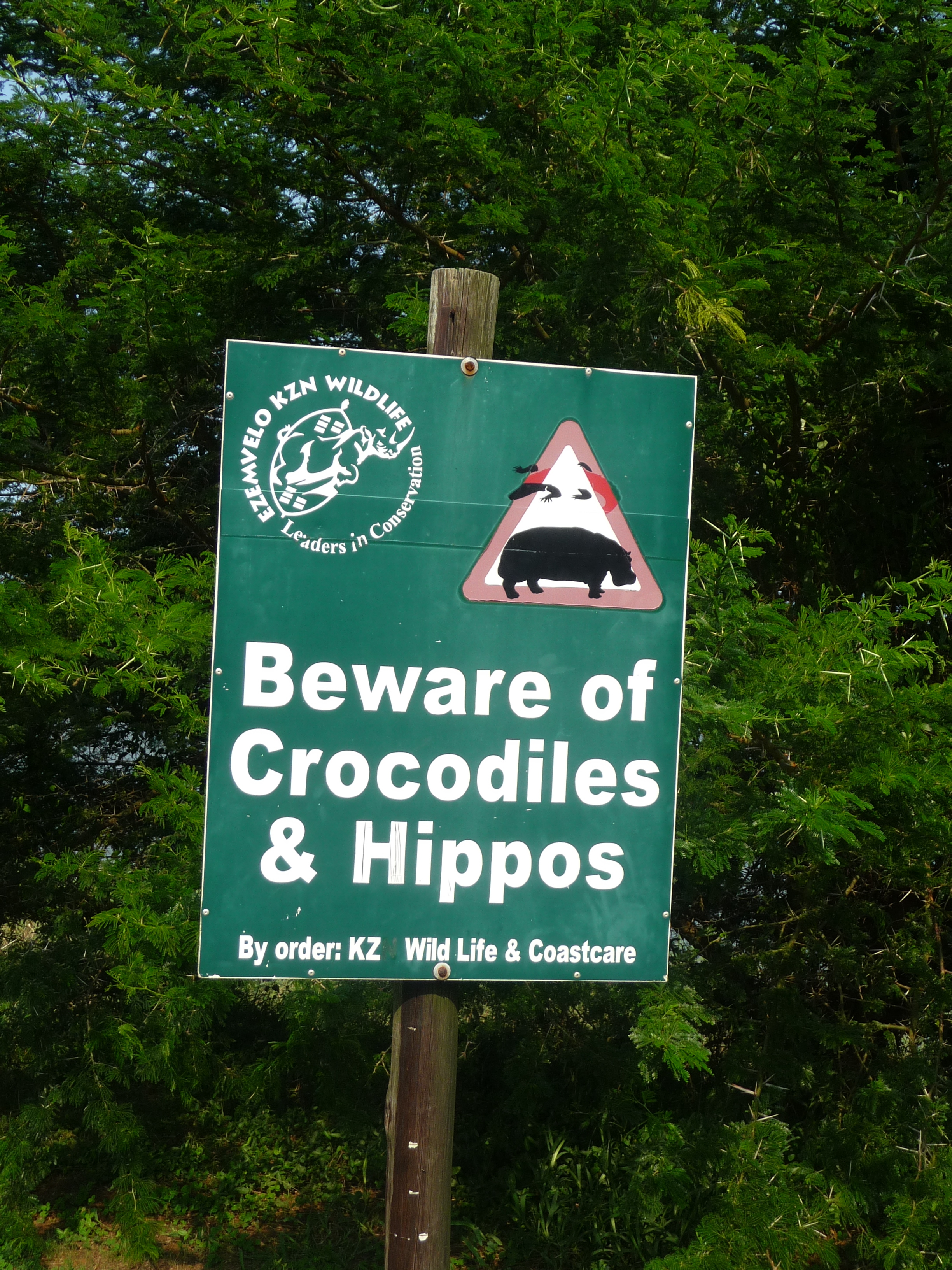 Once Upon a Time in Africa