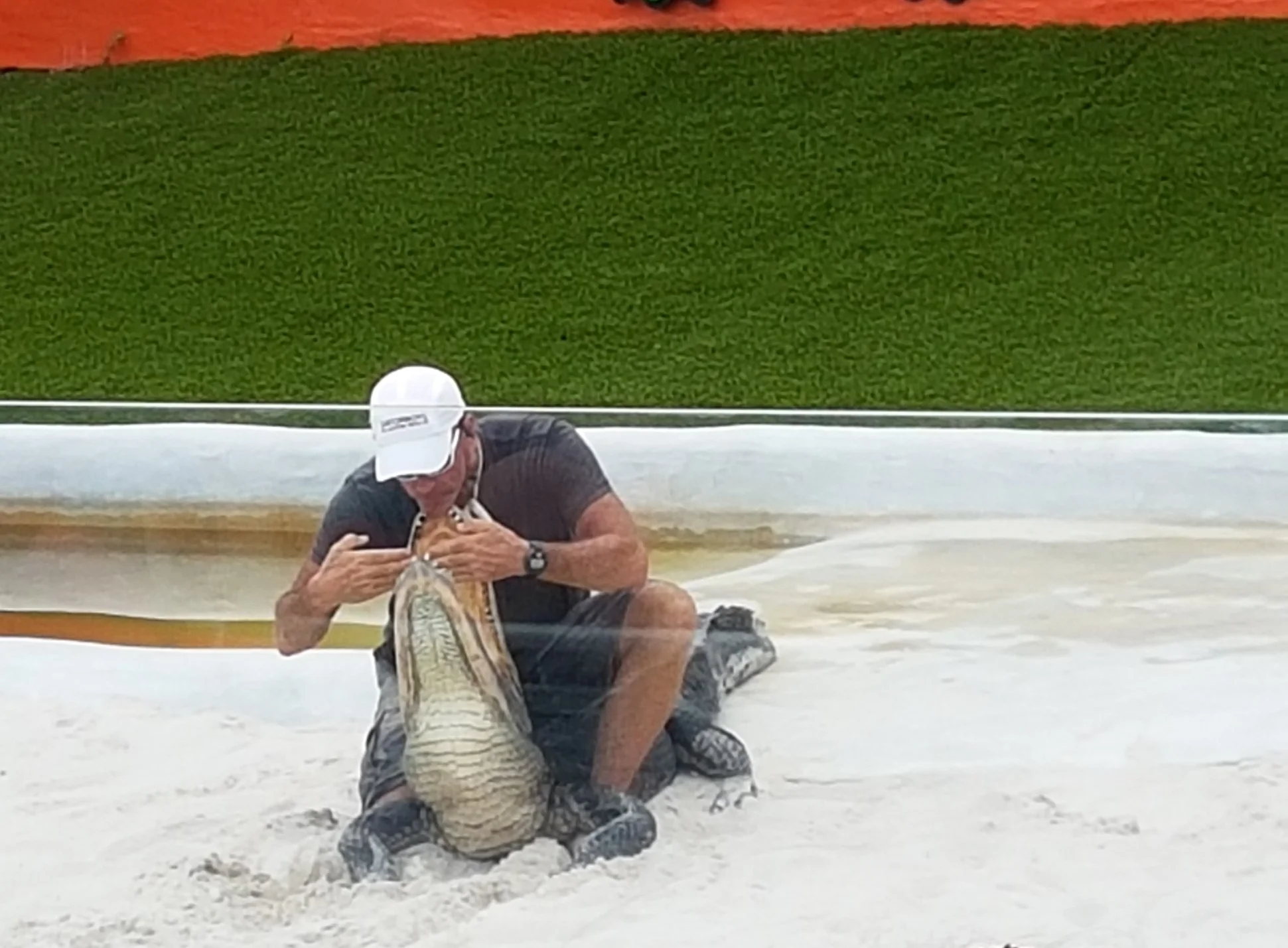 This guy is a gator hunter. My question is, how did he practice this trick? Who decides one day to put their head and hands in a gators mouth???