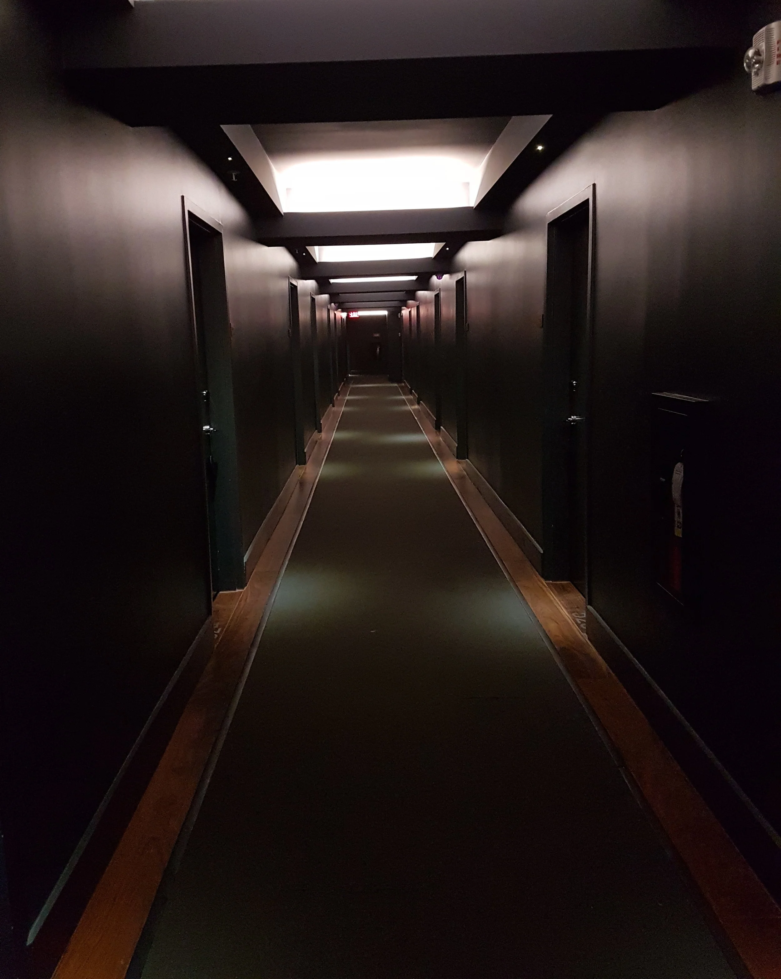 I think my only negative comment would be the hallways. They are painted charcoal. It really makes the hotel feel dark and gloomy. 