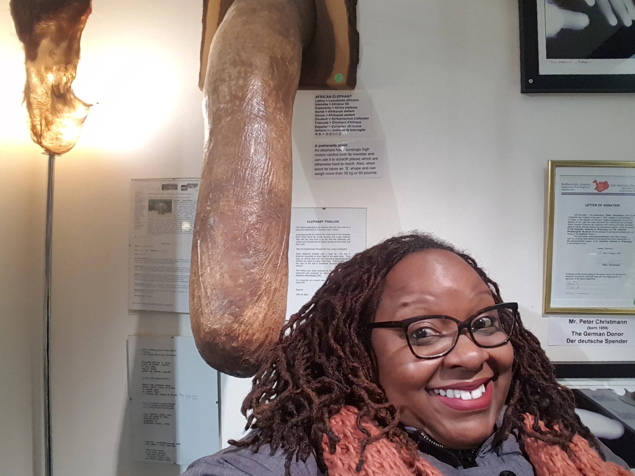 Sooooo this is an African Elephant Penis. I'm just gonna leave this right here...