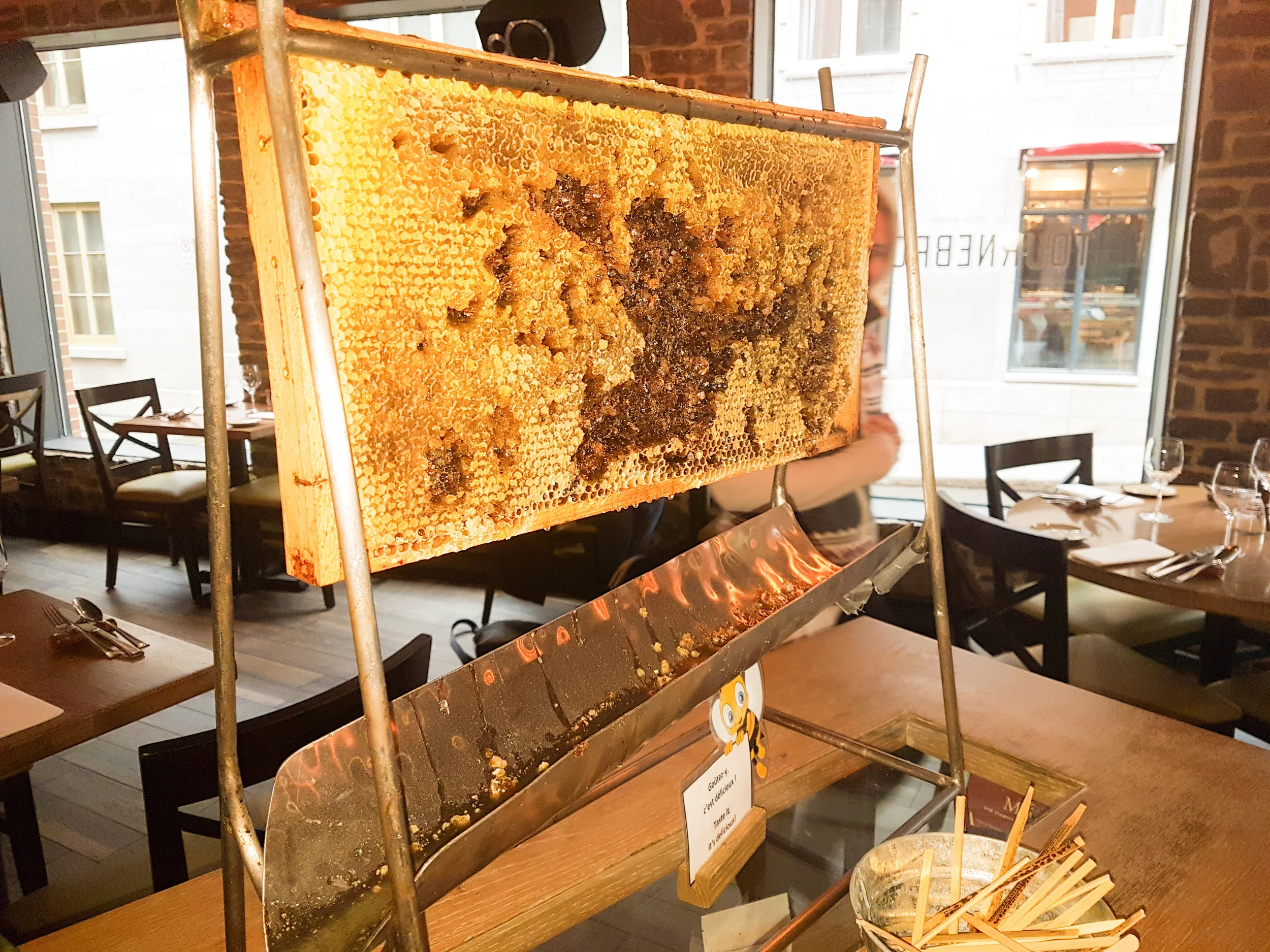 Honey straight from the honeycomb.... yummers