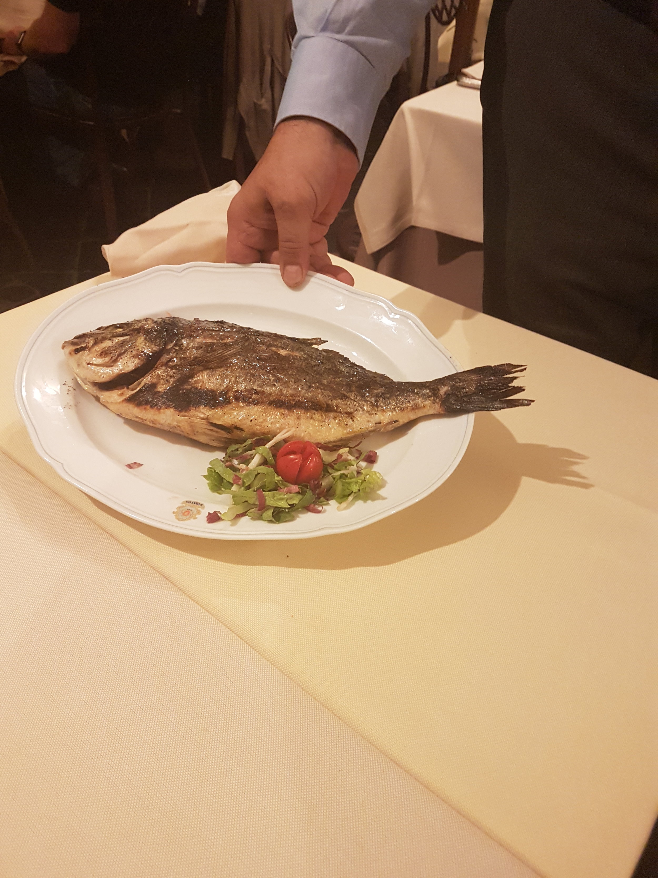 expensive fish.jpg