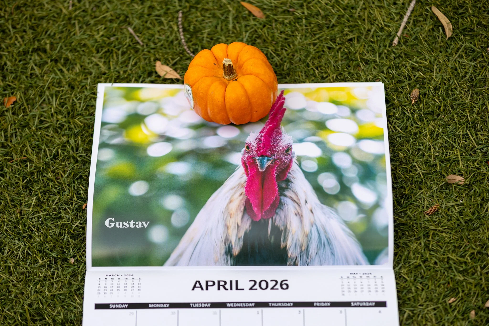 ybor calendar shoot-6.jpg