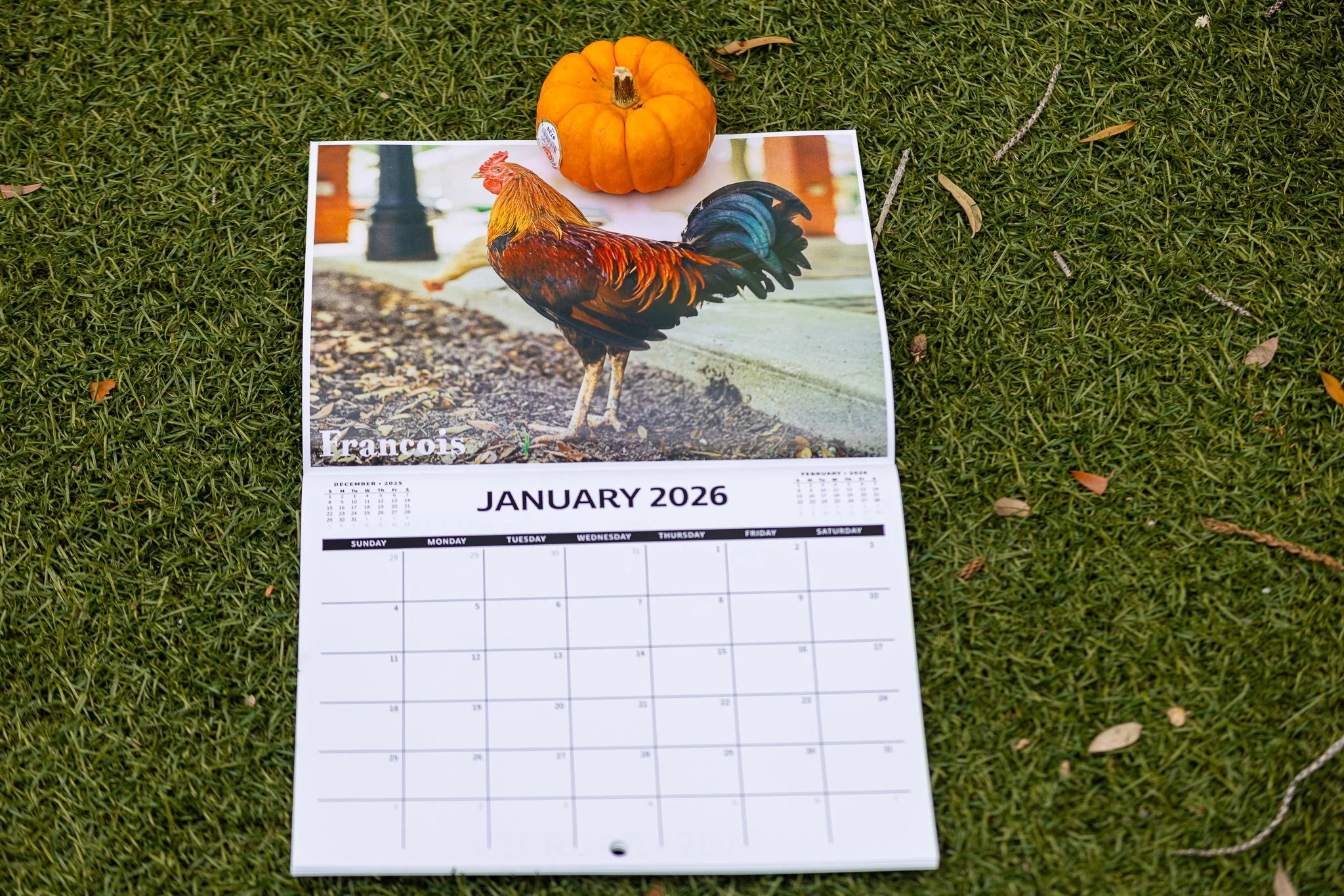 ybor calendar shoot-5.jpg