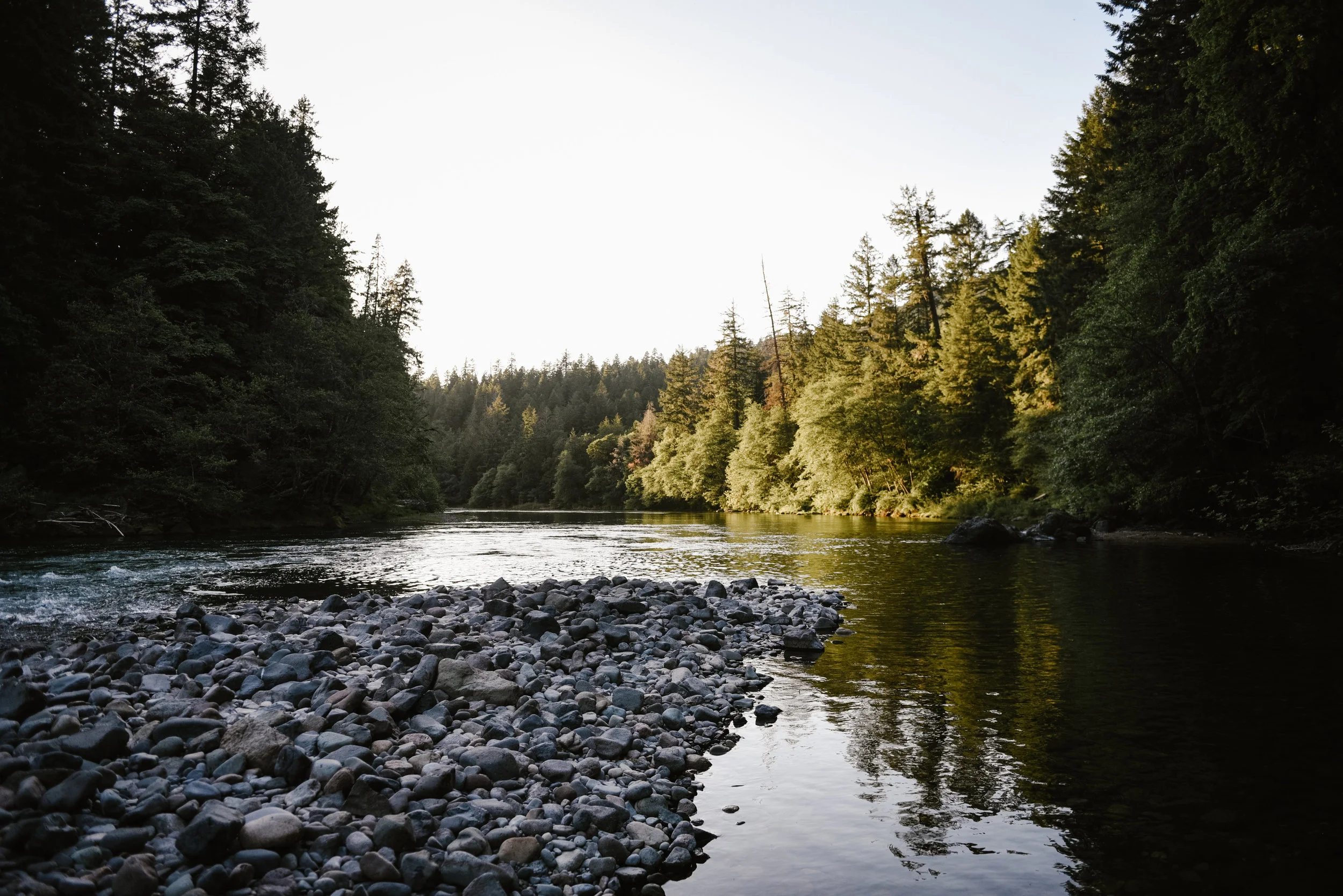 OREGON2018-1071.jpg