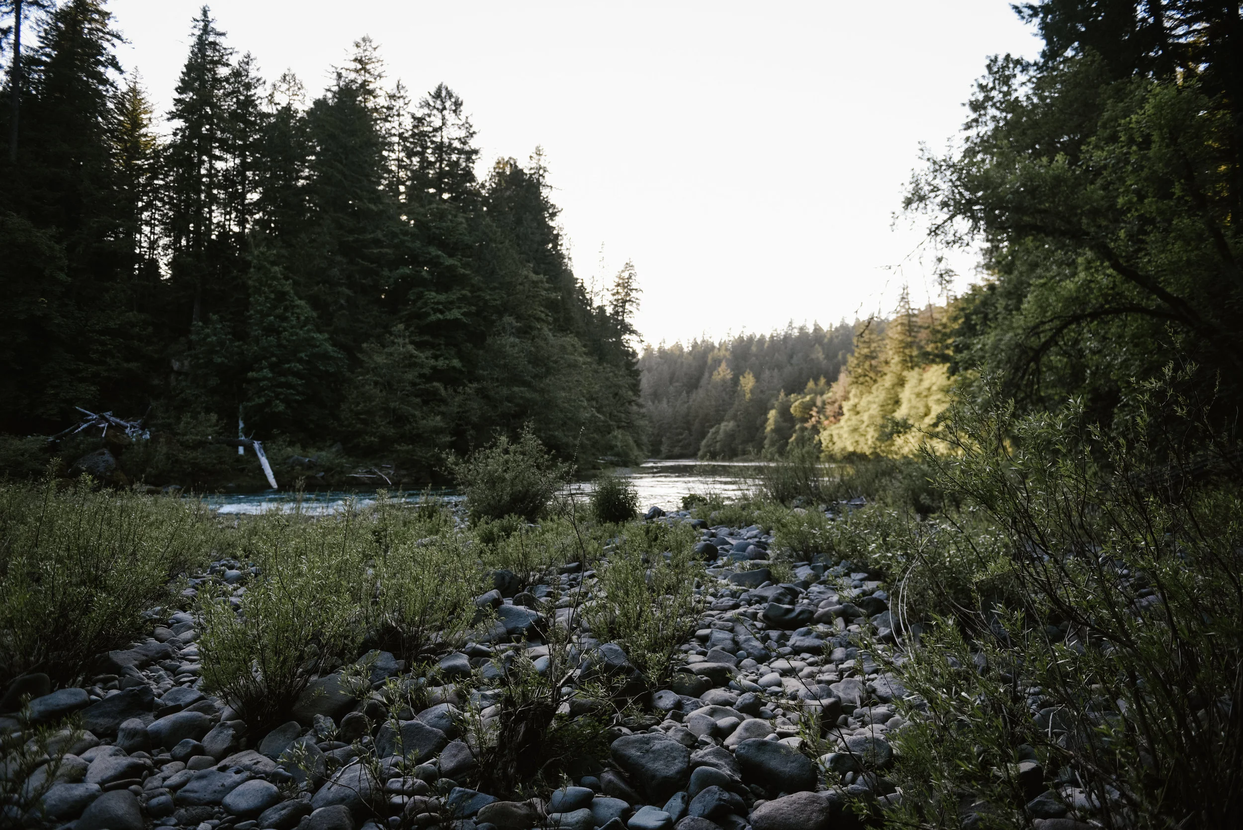 OREGON2018-1066.jpg