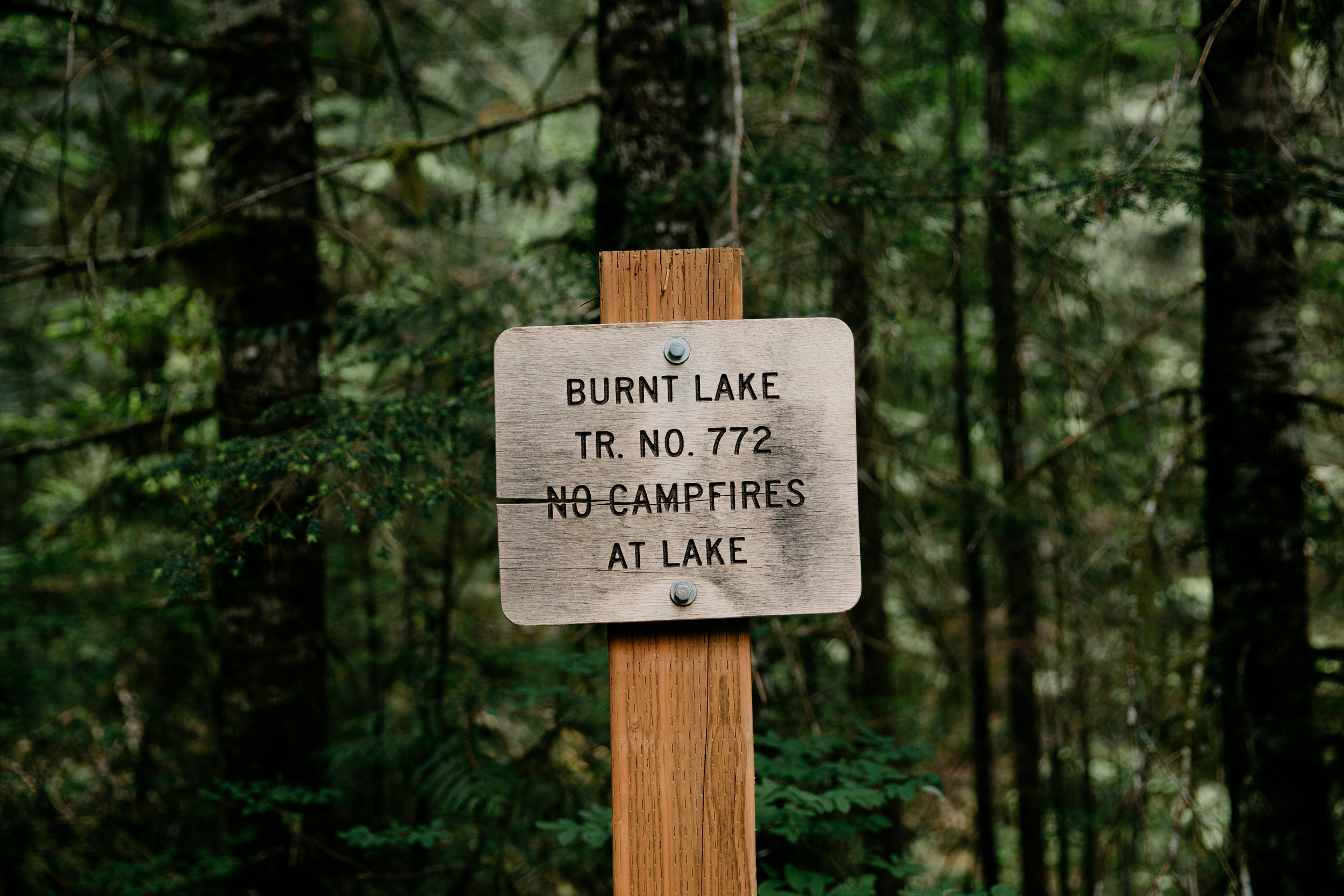 OregonGoCamp+SarahValencia-151.jpg