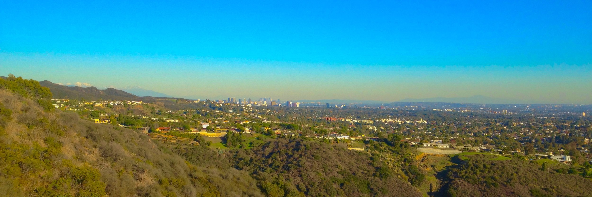A view of downtown Los Angeles from the Santa Monica Mountains. Note the iconic inversion layer of smog. High levels of atmospheric pollution have contributed to elevated nitrogen deposition, negatively impacting native ecosystems.