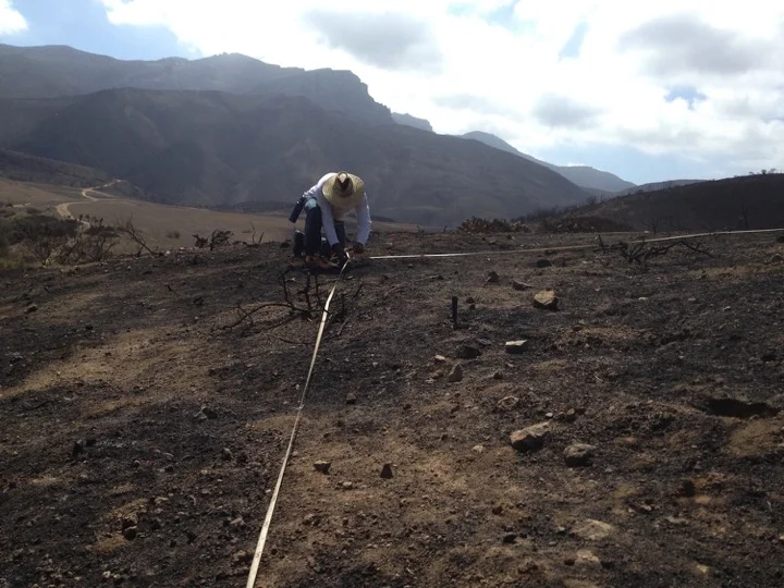 Field assistant Dwight Williams installs N fertilization plots in the burned landscape following the Springs Fire of 2013.