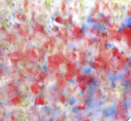 FLOWER DYE: EL COLOR Y LA NATURALEZA