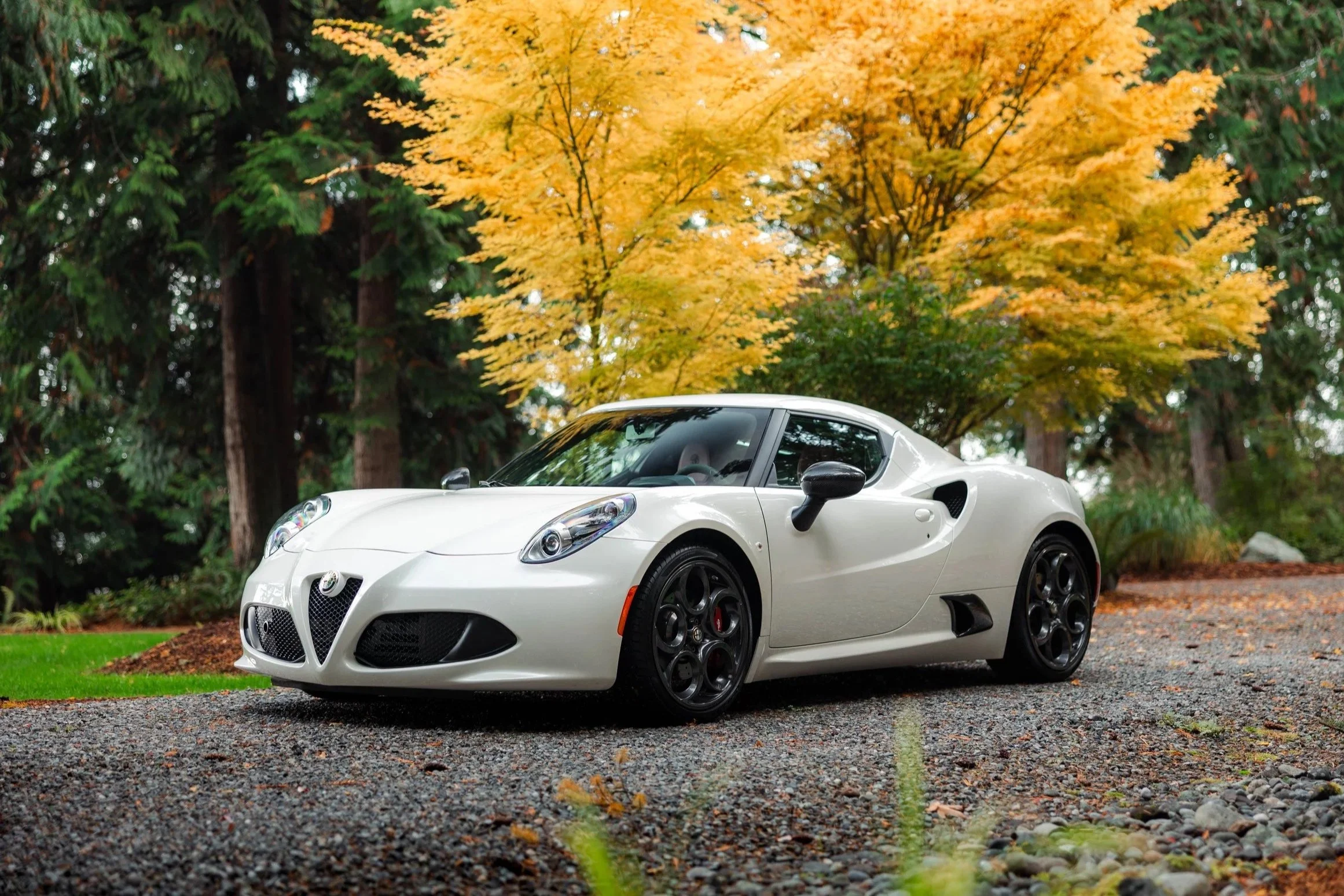 2015 Alfa Romeo 4C-5.jpg
