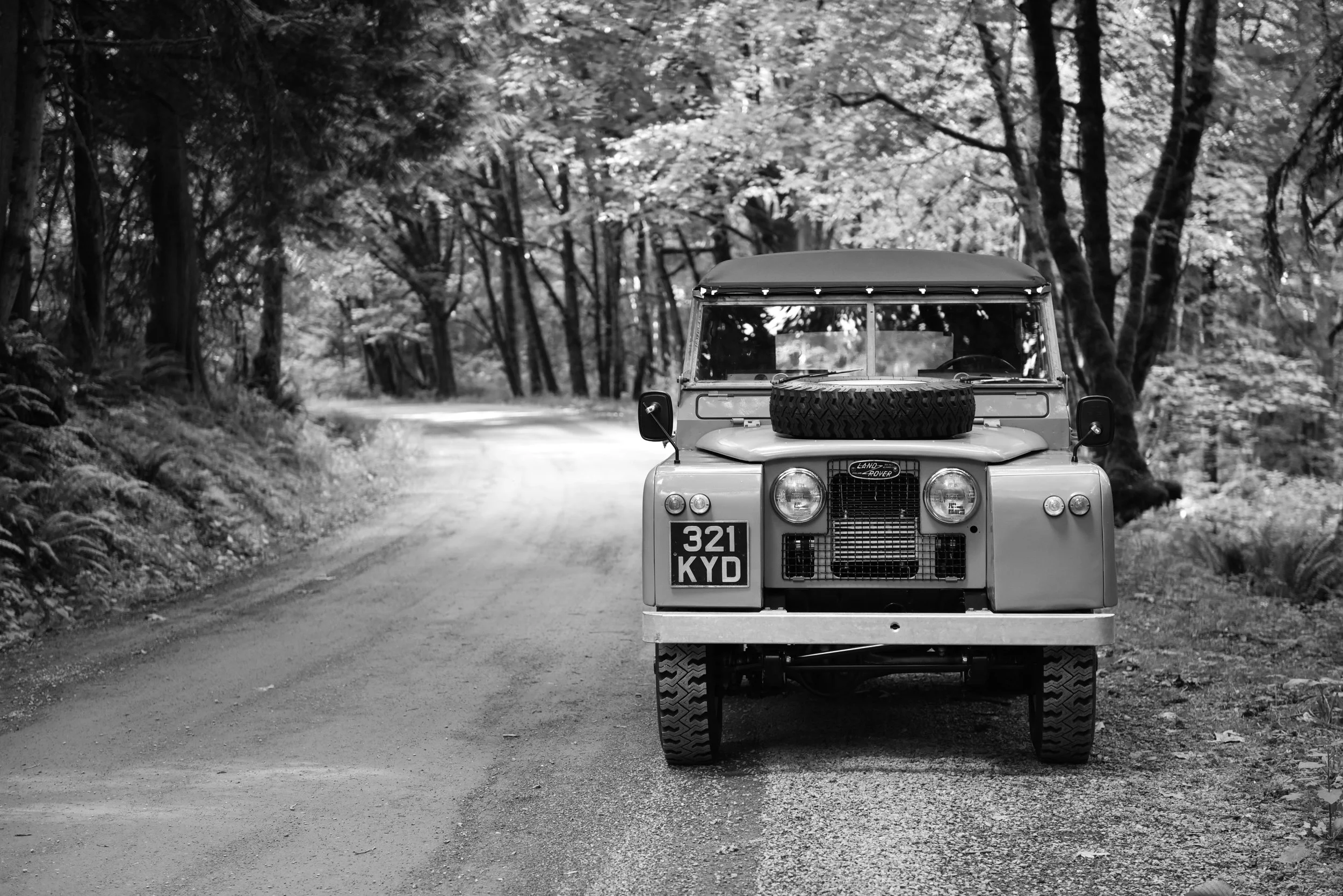 New Inventory - Summer Fun in a Series Land Rover