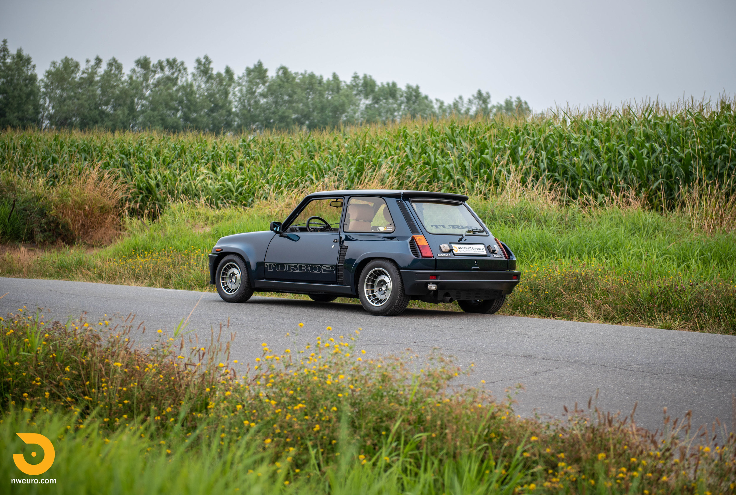 Renault 5 Miniature -  Norway