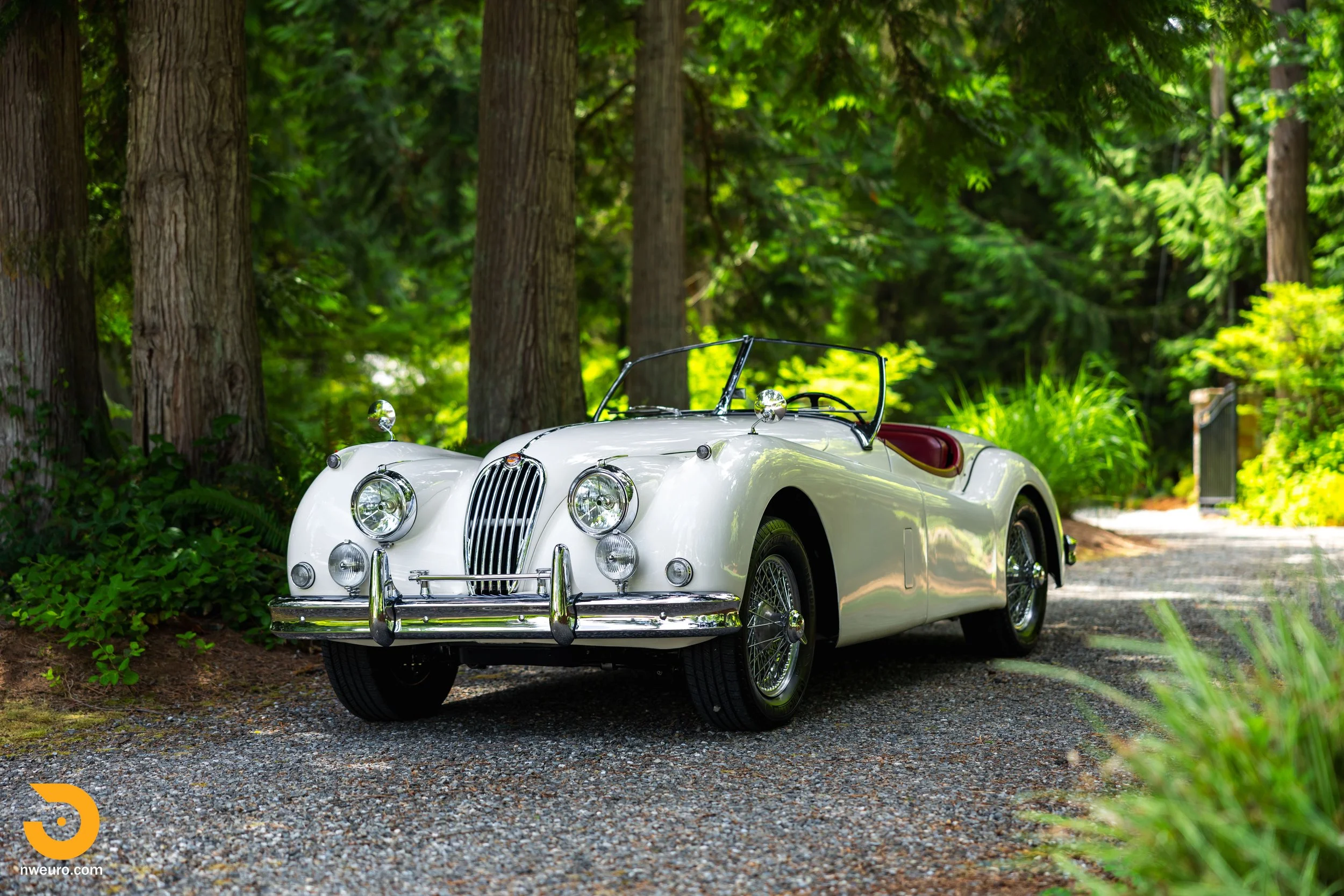 A Cat For Touring - 1955 Jaguar XK140 MC