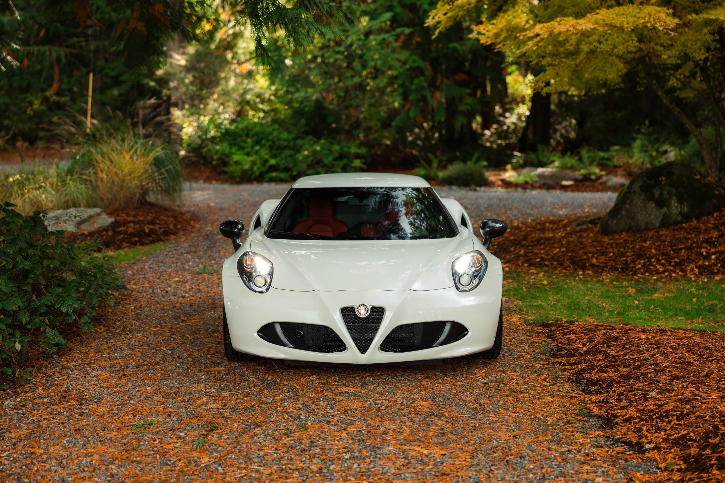 1 Owner and 1K Miles - Alfa Romeo 4C