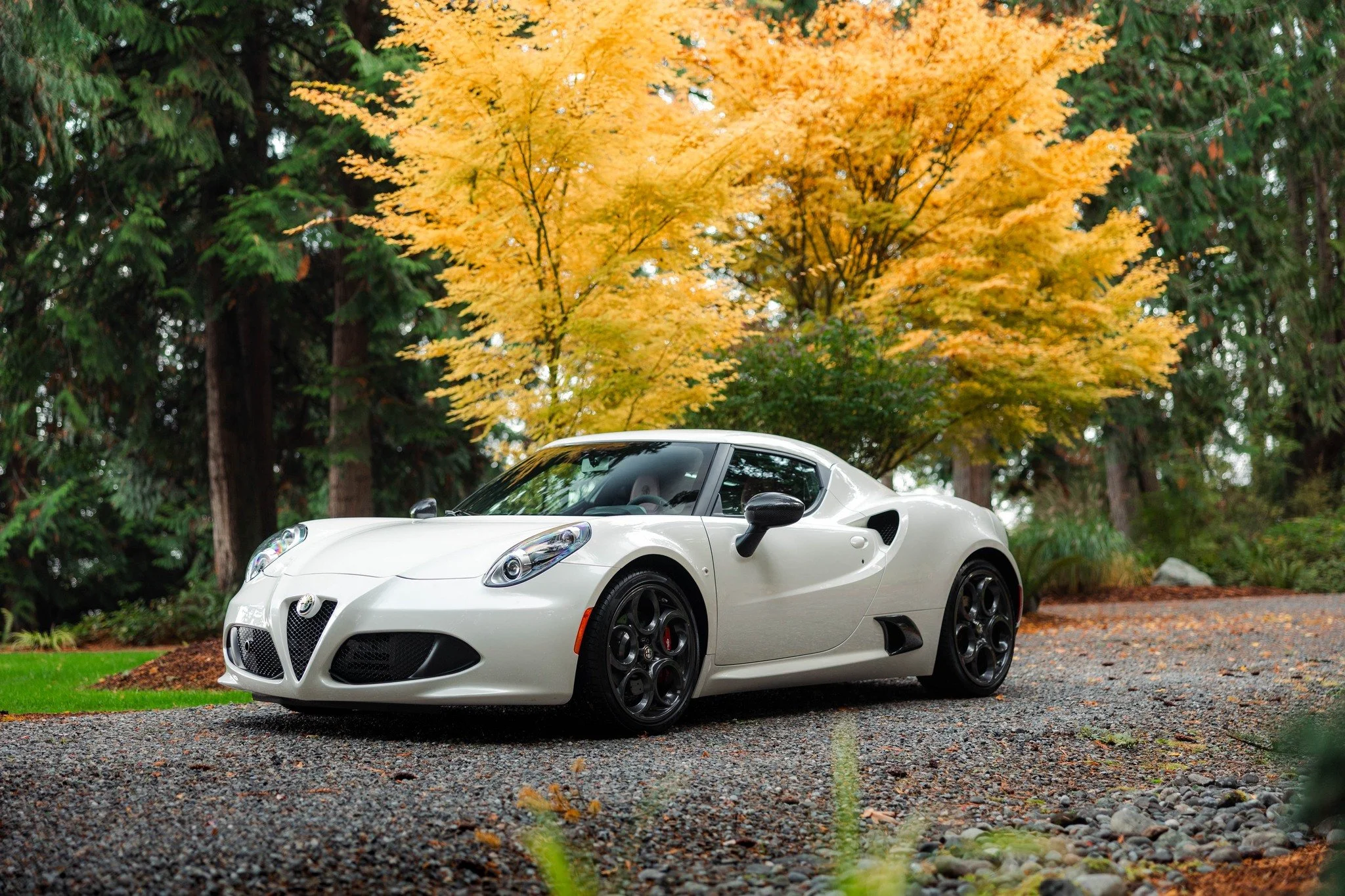 Our 2015 Alfa Romeo is fresh into inventory, and what a thing it is in person! One owner and 1K miles, fully serviced, and a spectacular color combination. Carbon chassis, super dynamic driving characteristics, if you have not driven one of these see