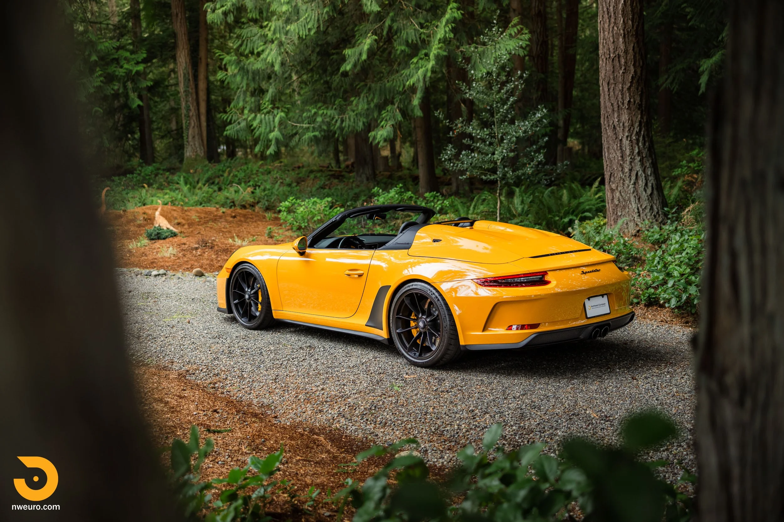 PTS - Bahama Yellow - 2019 Porsche 911 Speedster