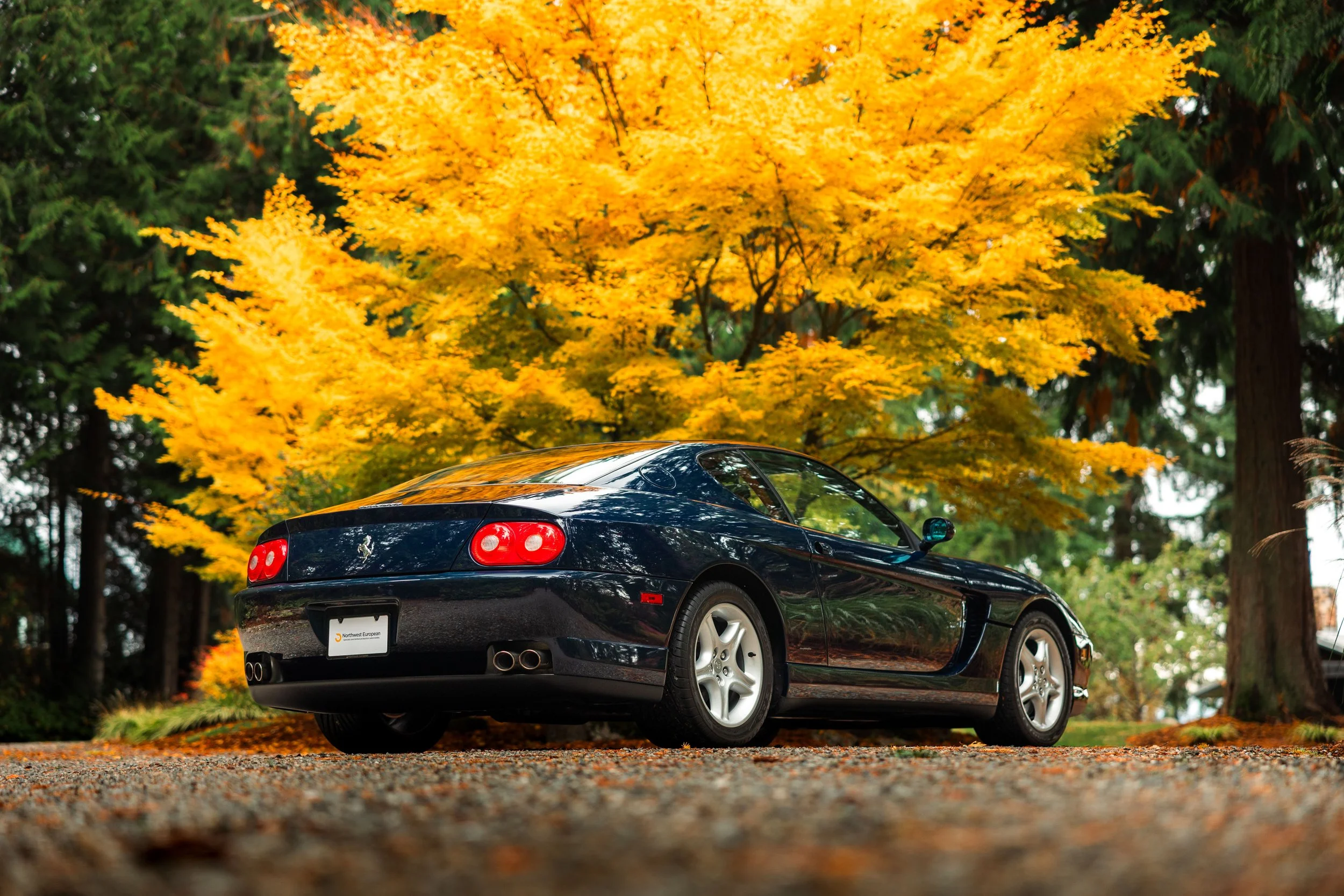 2001 Ferrari 456M GT's photo