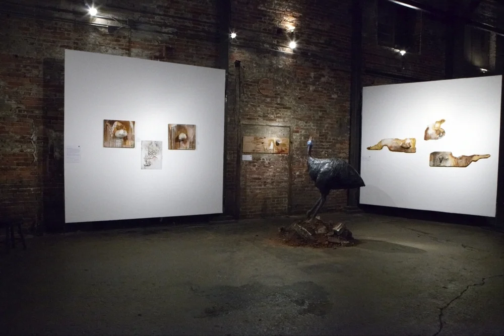 2013_tcp_exhibition_momentum_installatation_photo_by_neda_abghari_1112.jpg