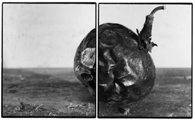 Joachim Froese ‘Rhopography’, 22 Oct-27 Nov 2004 — Jan Manton ...