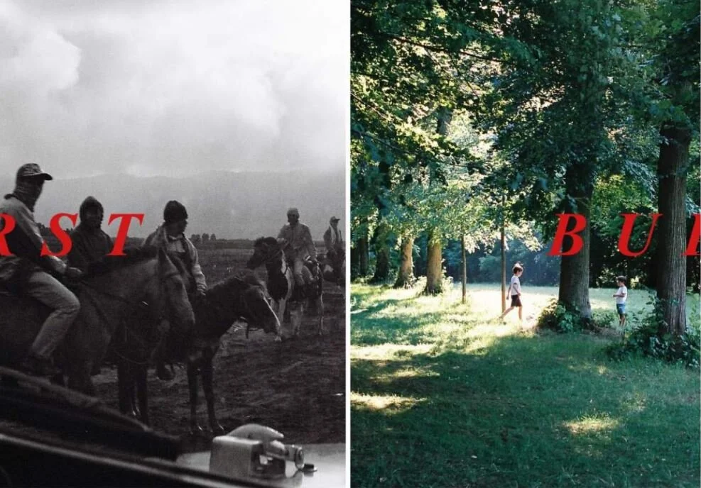 Belvedere Redux v.2 | Charlotte Tegan