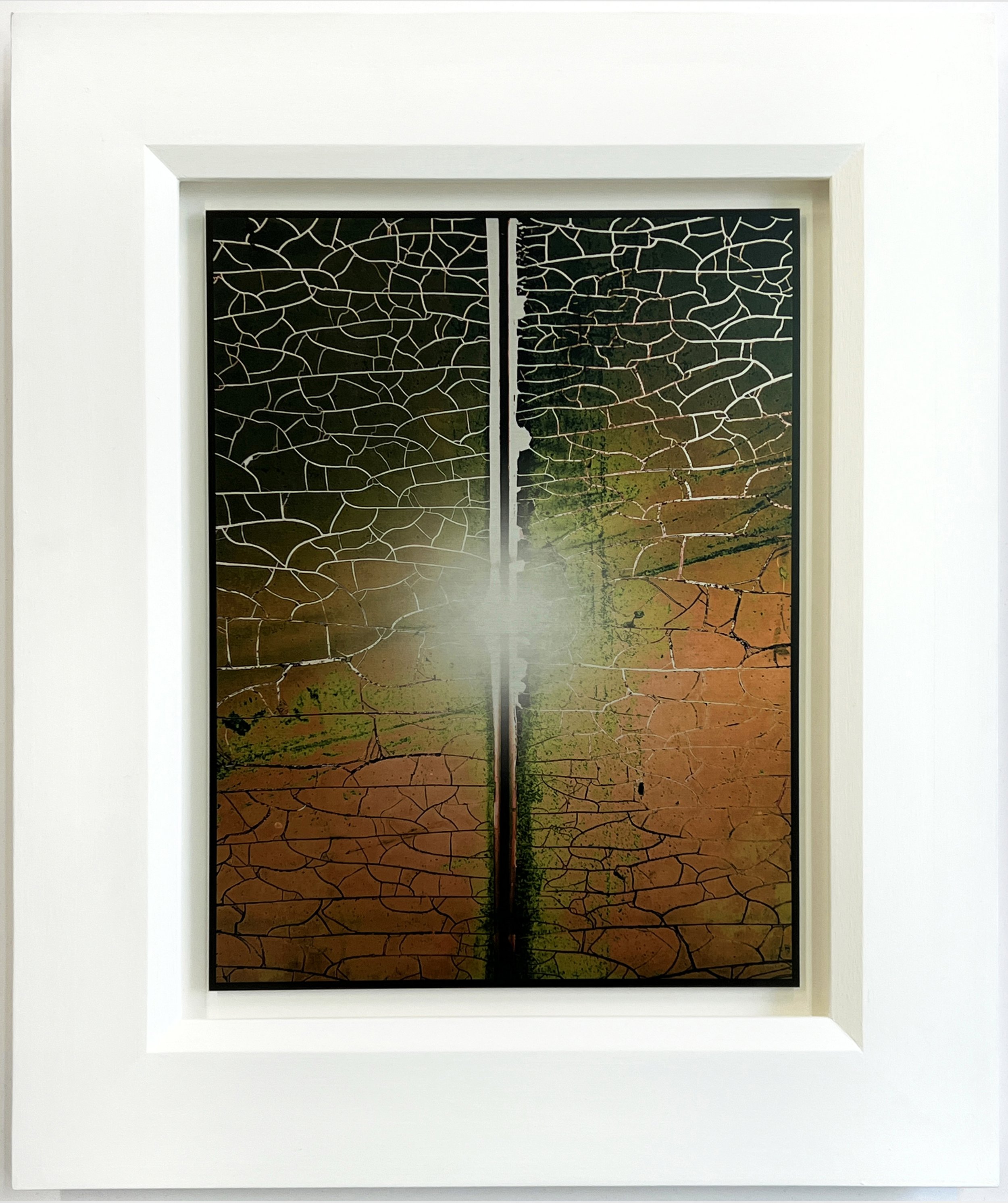 Andrew Browne | fulgēre