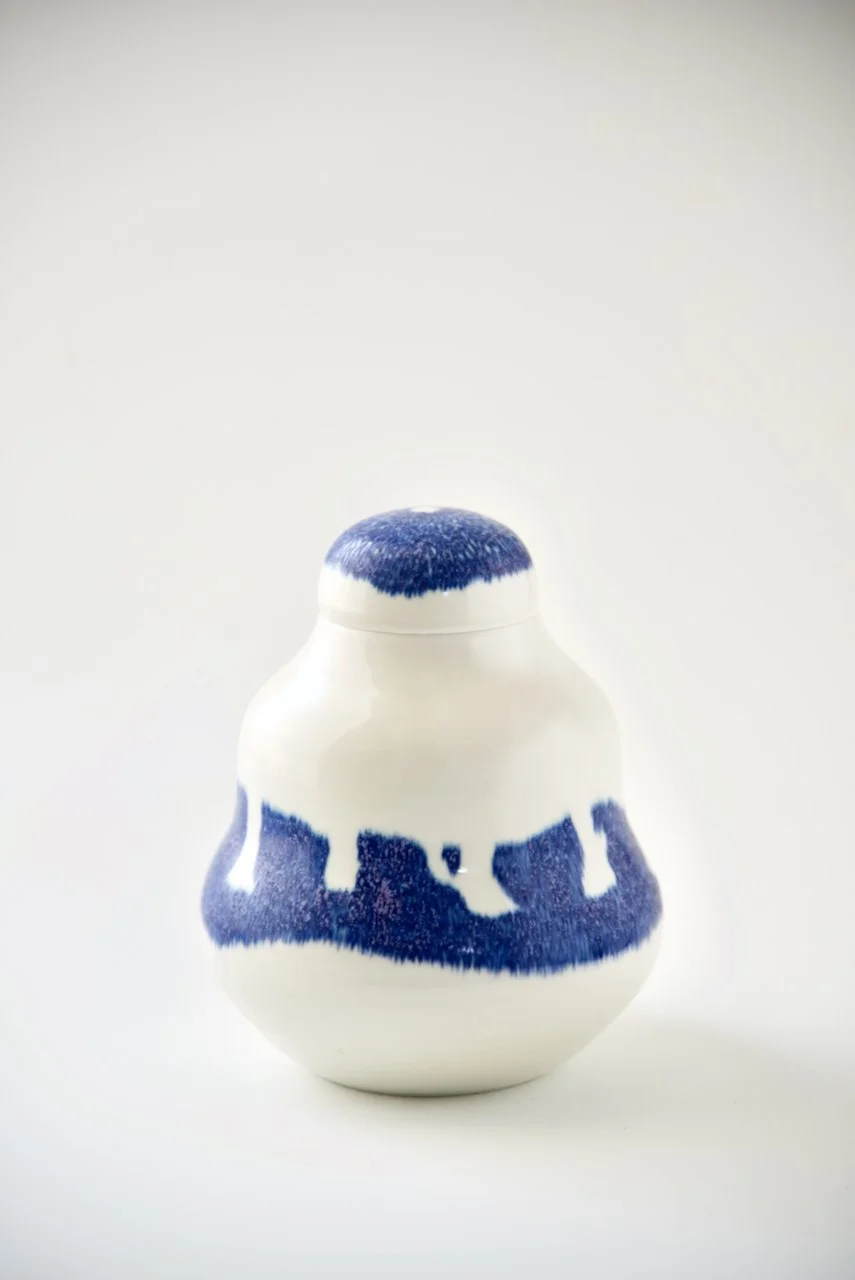 D75_8336 h20 w17 d17.jpeg