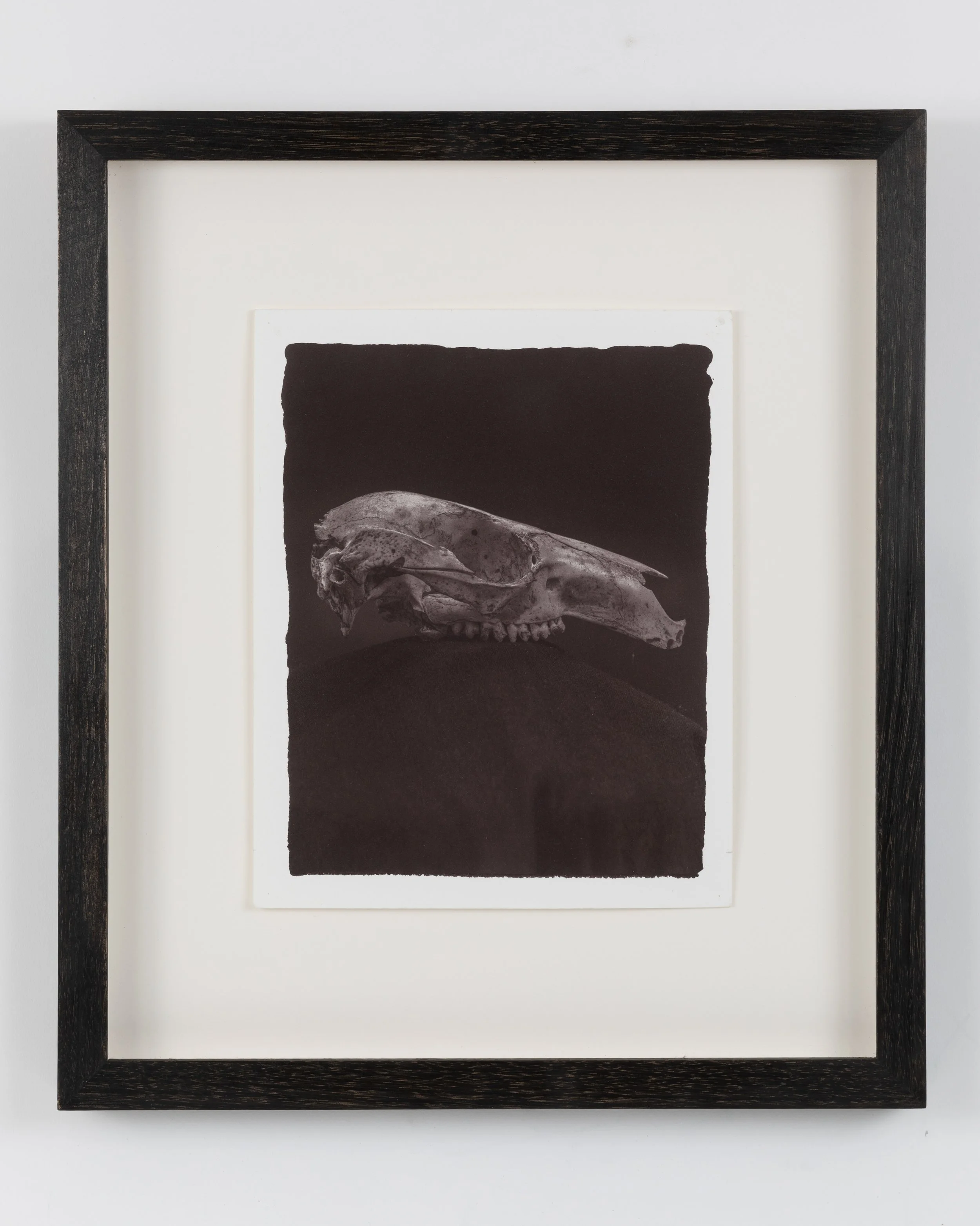 Alchemy #5 framed.jpg