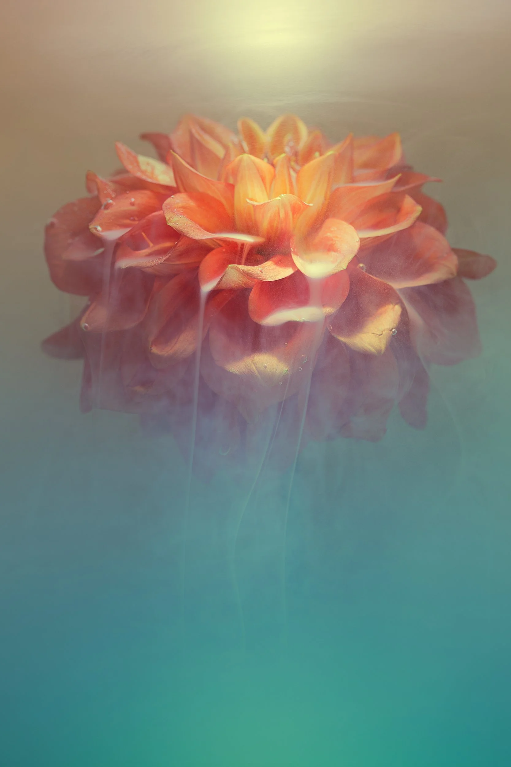 Ray_Lisa_Alchemy_framed_archival_pigment_print_on_cotton_rag_paper_1238x838mm_2026.jpg