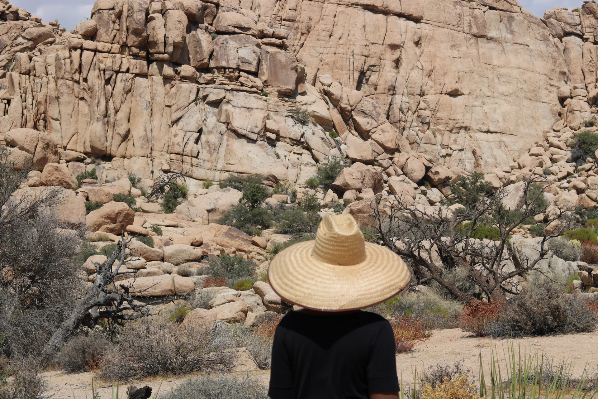 Travel Health: Zika and Mosquitos