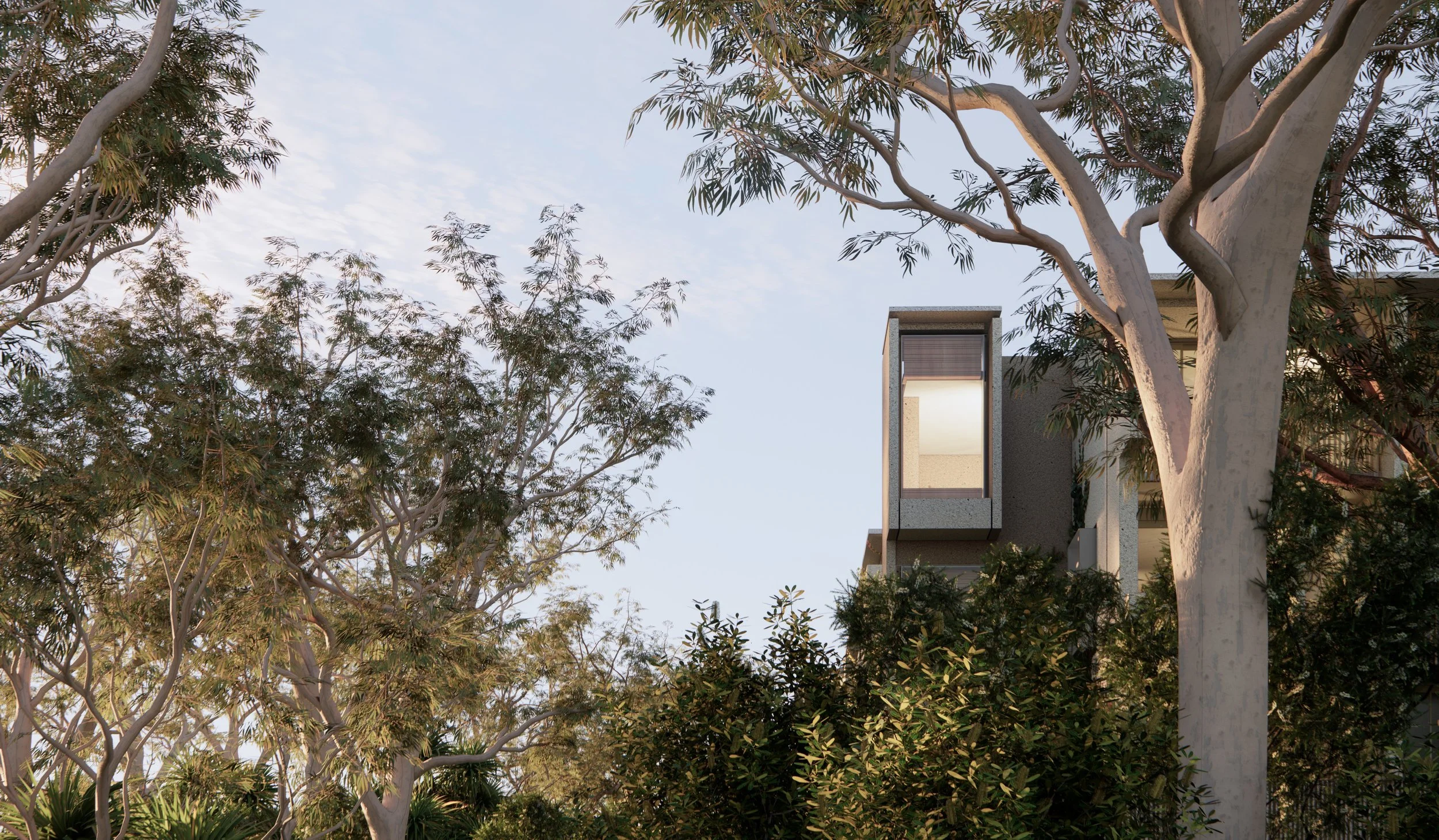 View last vignette.jpg