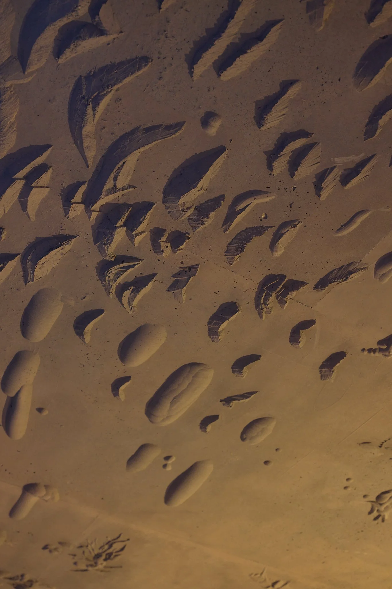 250729_CBUS_205NQ SH24_IMG_0170.jpg