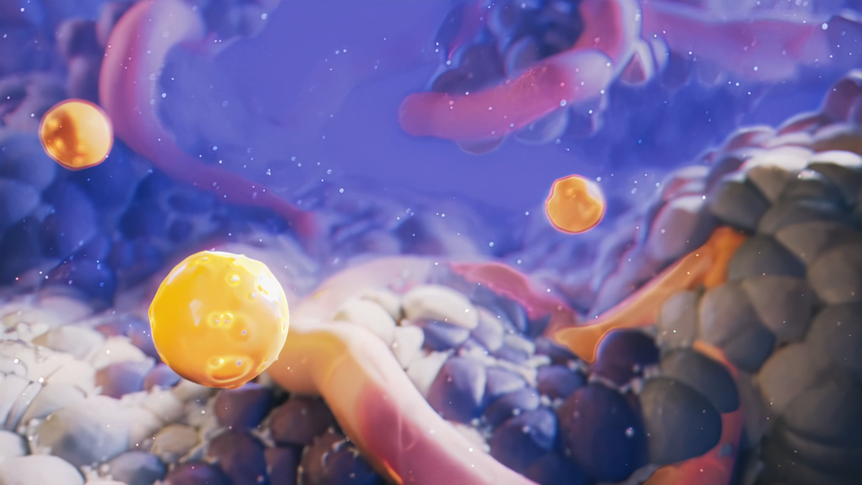 AffiniT_11-14-24c_alq13 (00164).png