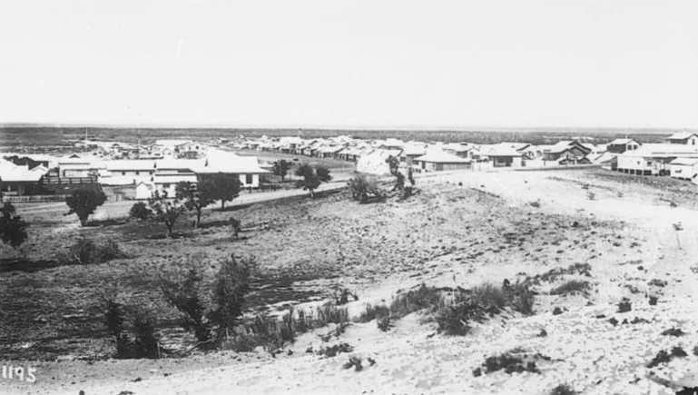 IMAGE 3.jpg