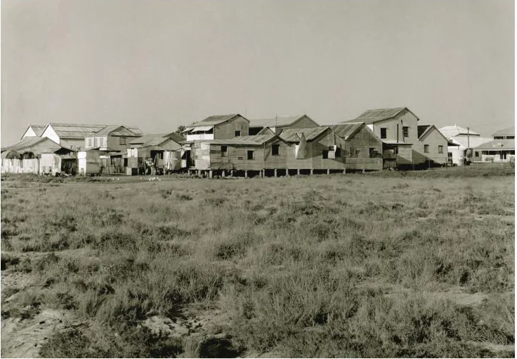 IMAGE 6.jpg