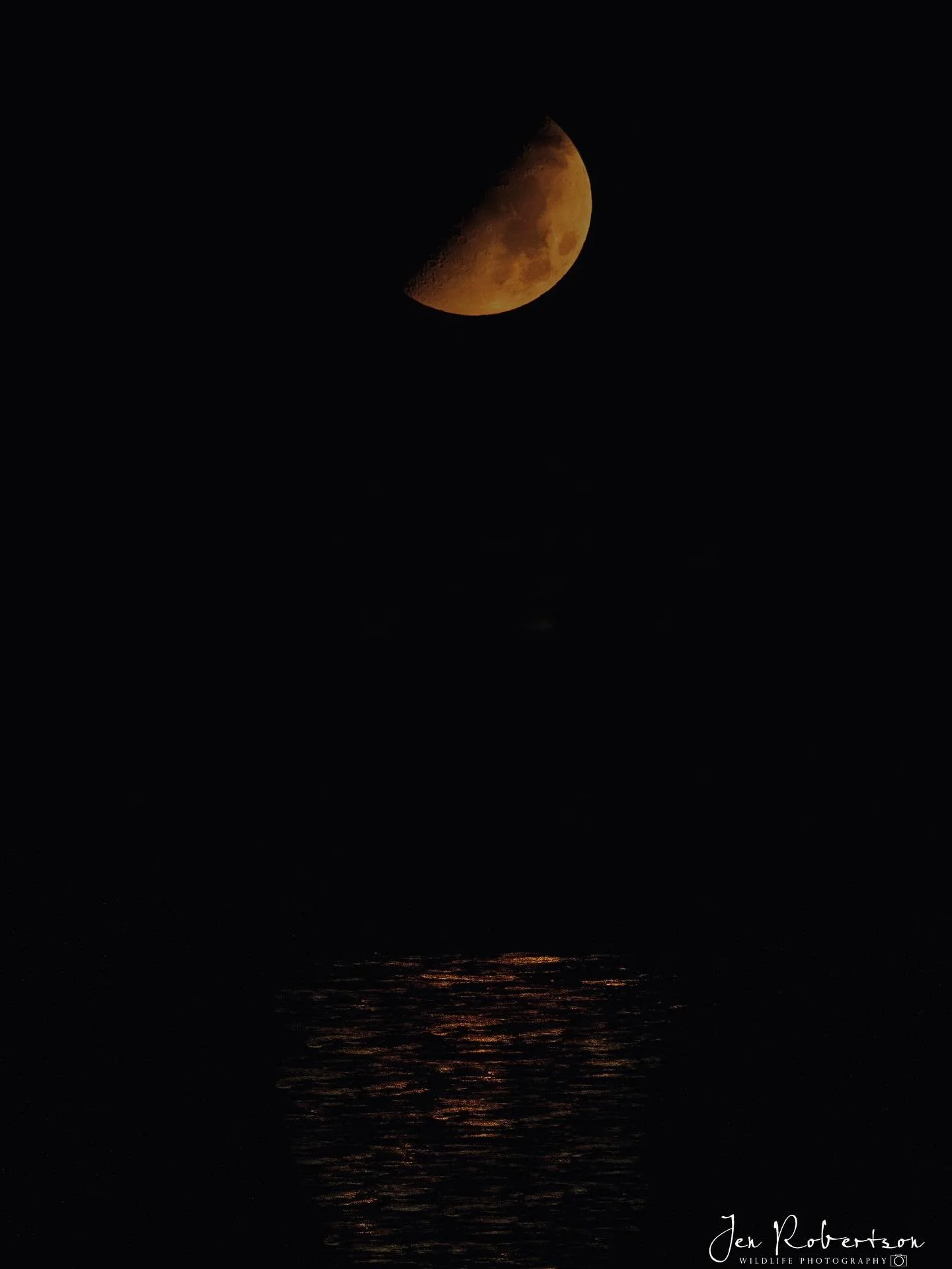 &ldquo;At the still point of the turning world&rdquo; indeed. An unexpected orange moon at the end of August by the beach. Taking in the light dancing off the water, the ocean waves I could hear by not see, the  peaceful solitude. 🥰

#moon #beach #m