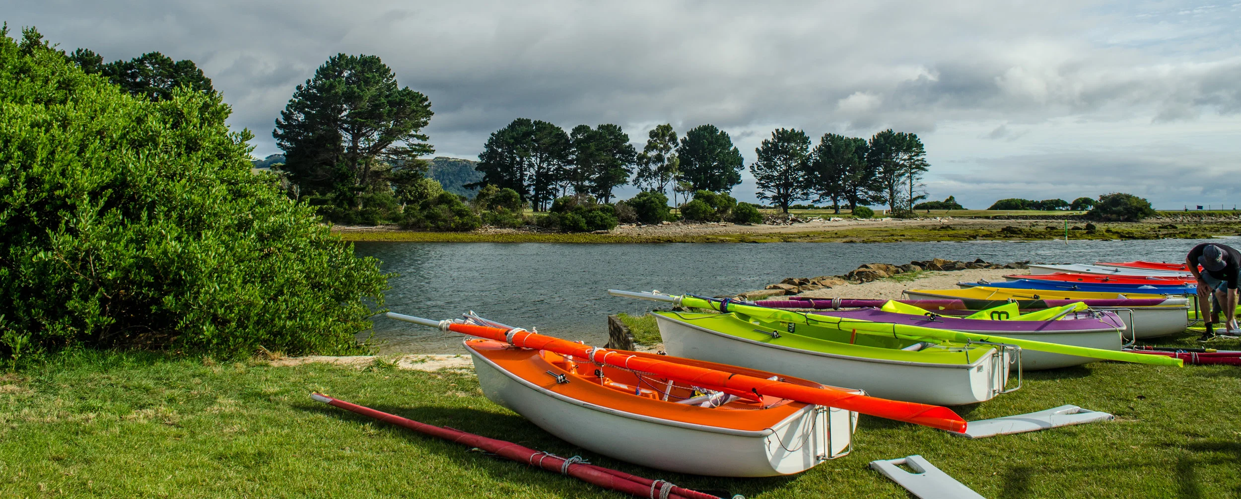 Theodore Somssich-1.JPG